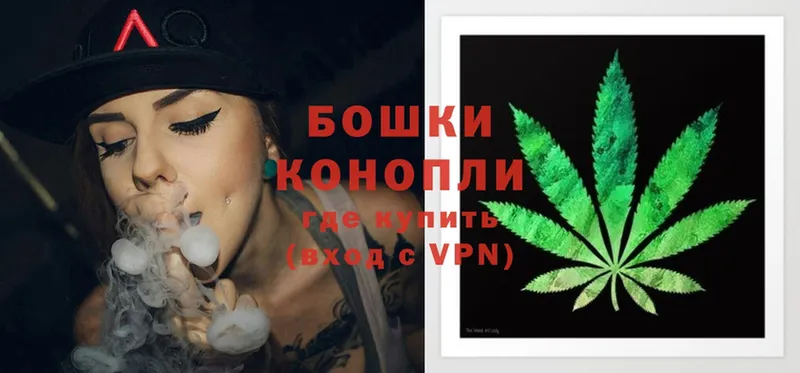 купить наркотик  Электрогорск  Конопля OG Kush 